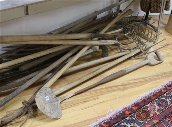 A collection of Victorian and Edwardian long handled hay forks, rakes, drain spade, etc.